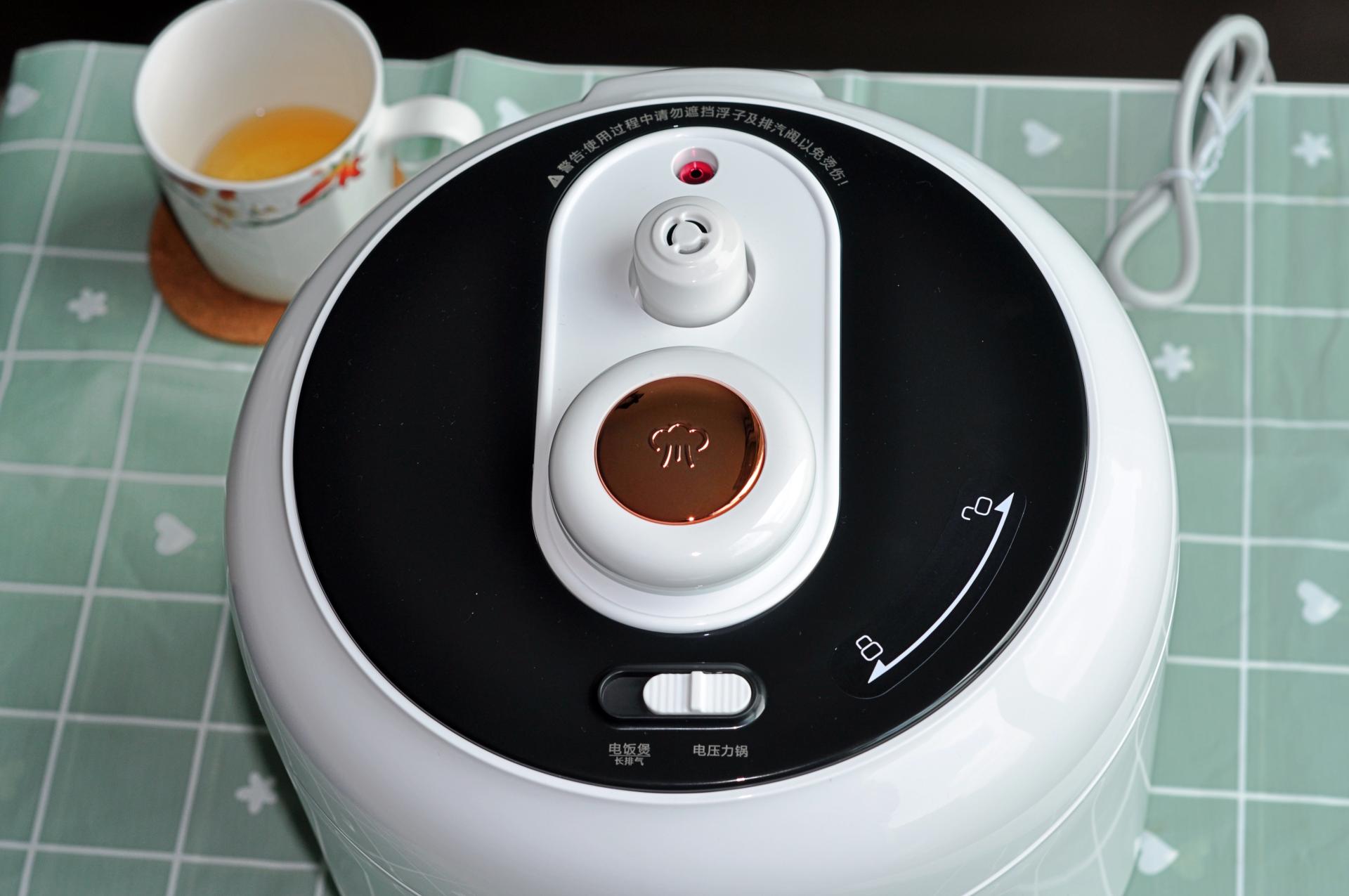 12v和220伏两用电压力锅推荐,2020款蒸煮两用电压力锅