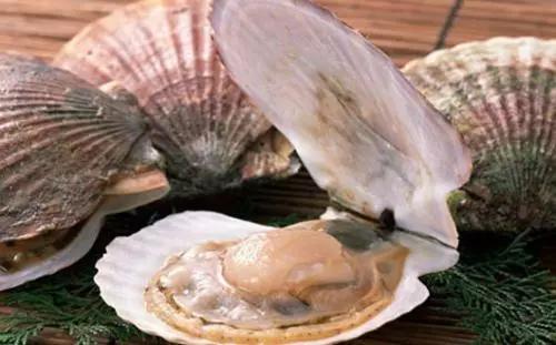 开海特价海鲜,开海的海鲜视频