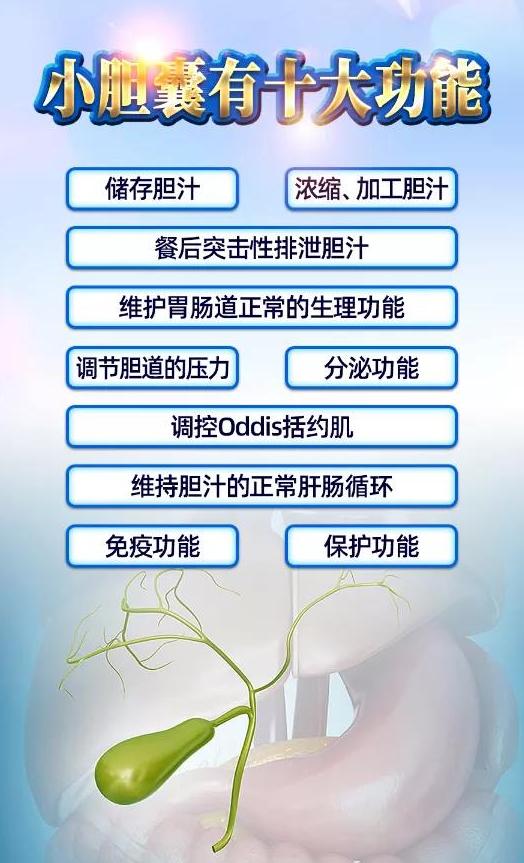 35岁得了多发性胆结石怎么办,26岁胆结石是保守治疗还是切除