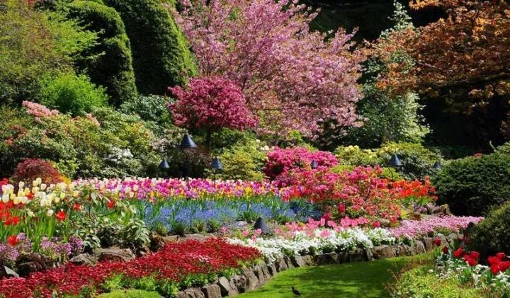 布查德花园的秋冬季,全球最美花园布查特花园