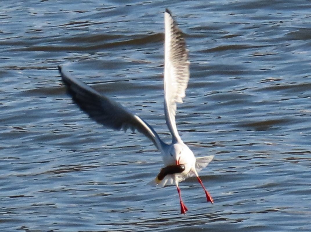12倍光学变焦数码相机拍摄效果,10倍光学变焦相机拍照片