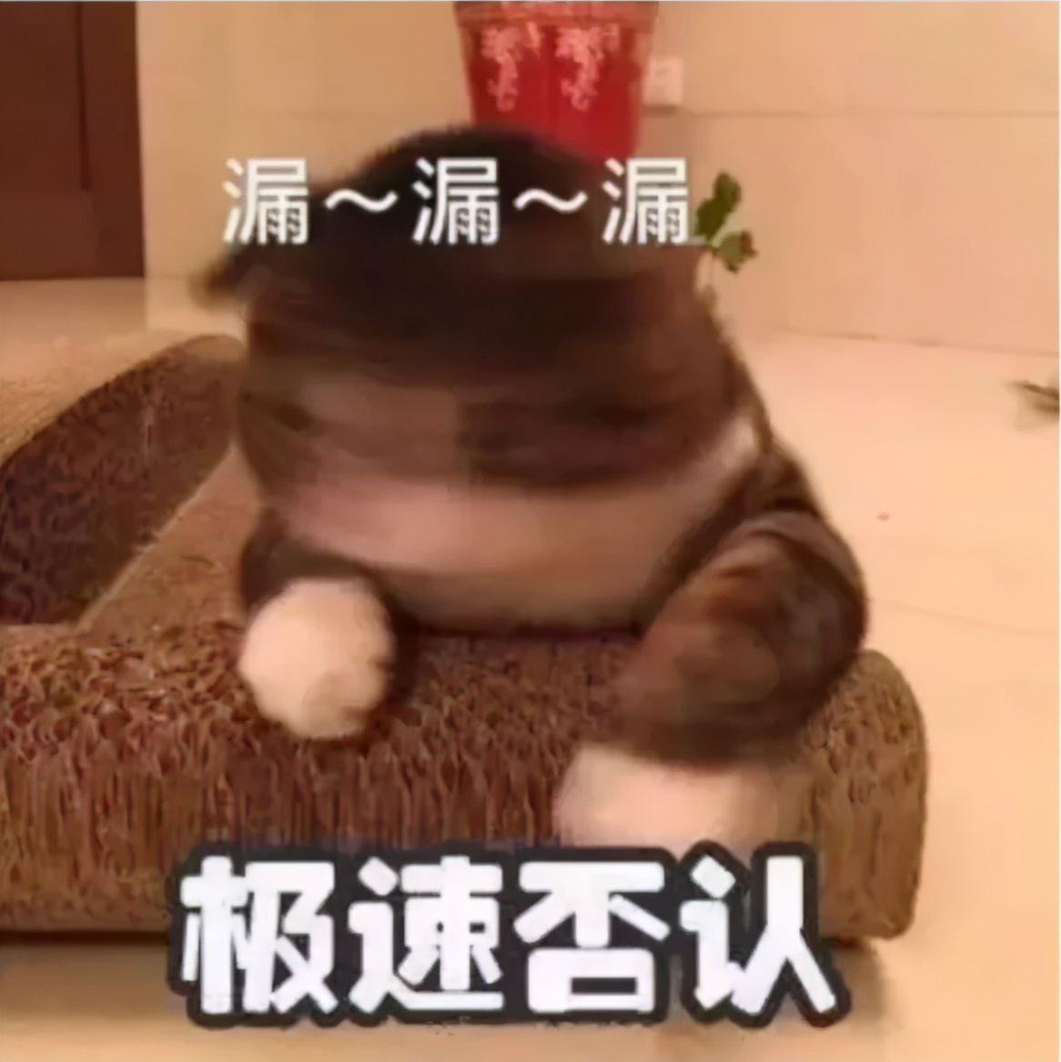 招财猫美国,招财猫可以招财