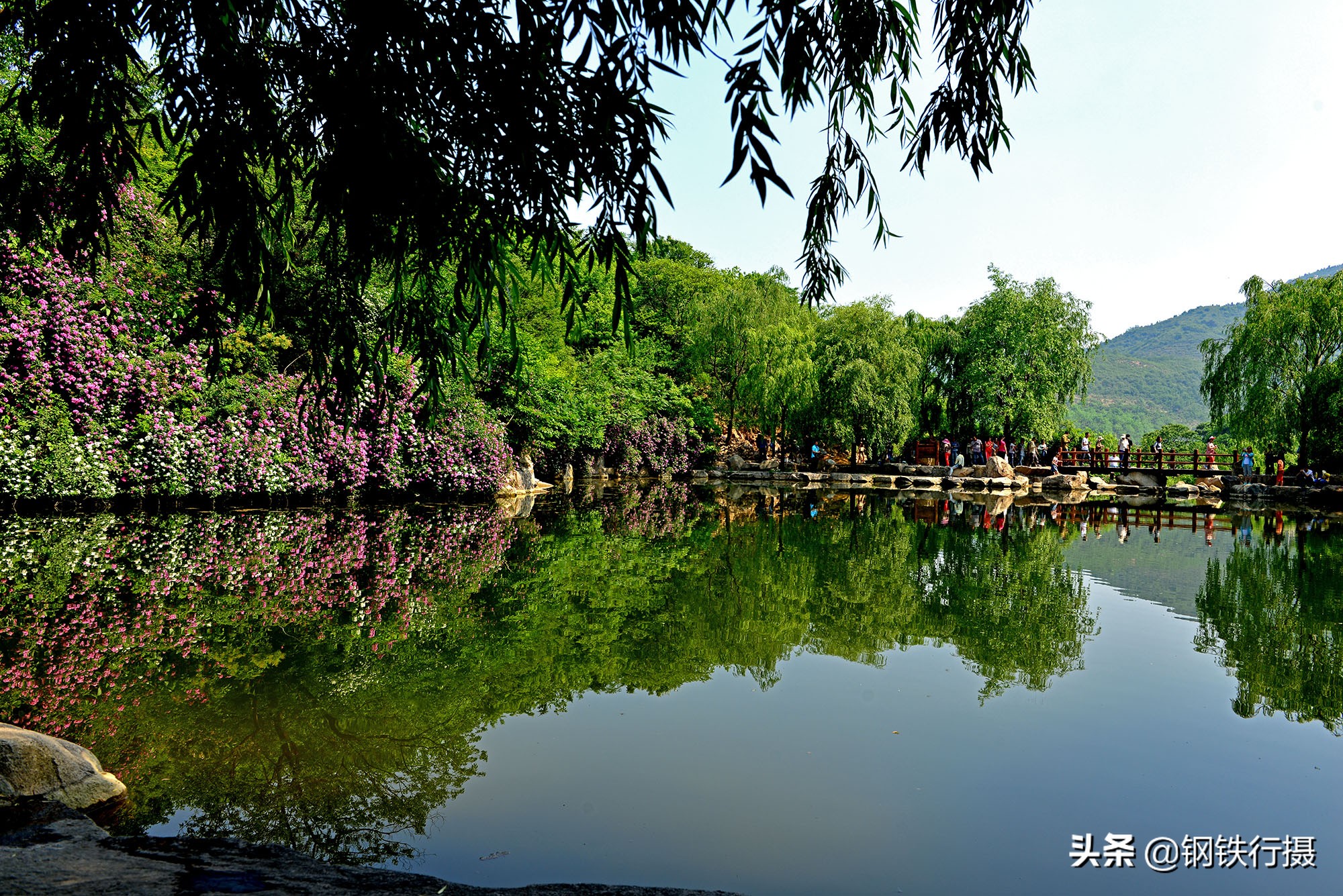 济南秋天风景好的地方,济南秋天景色最美地方排名