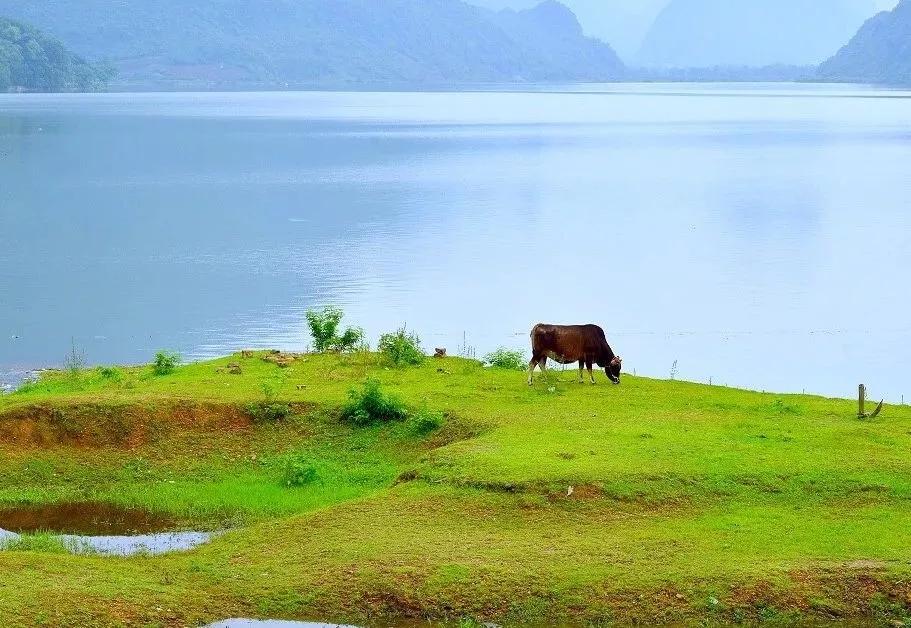 世界上所有的病----原来它是最大的杀手