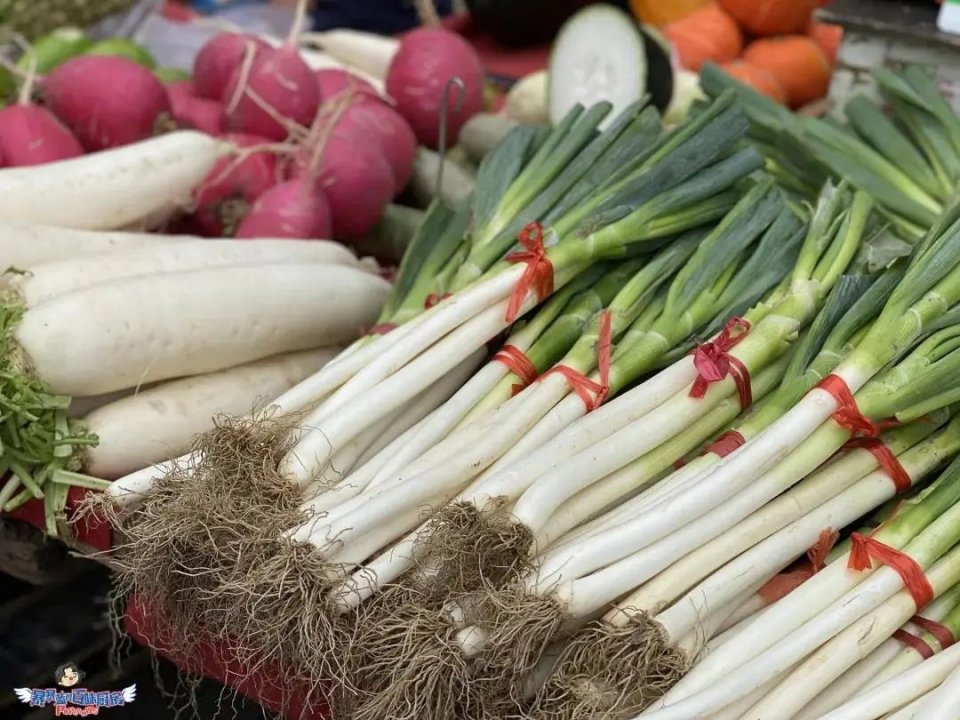 沈阳值得去的10个地方,沈阳最值得去的10个地方