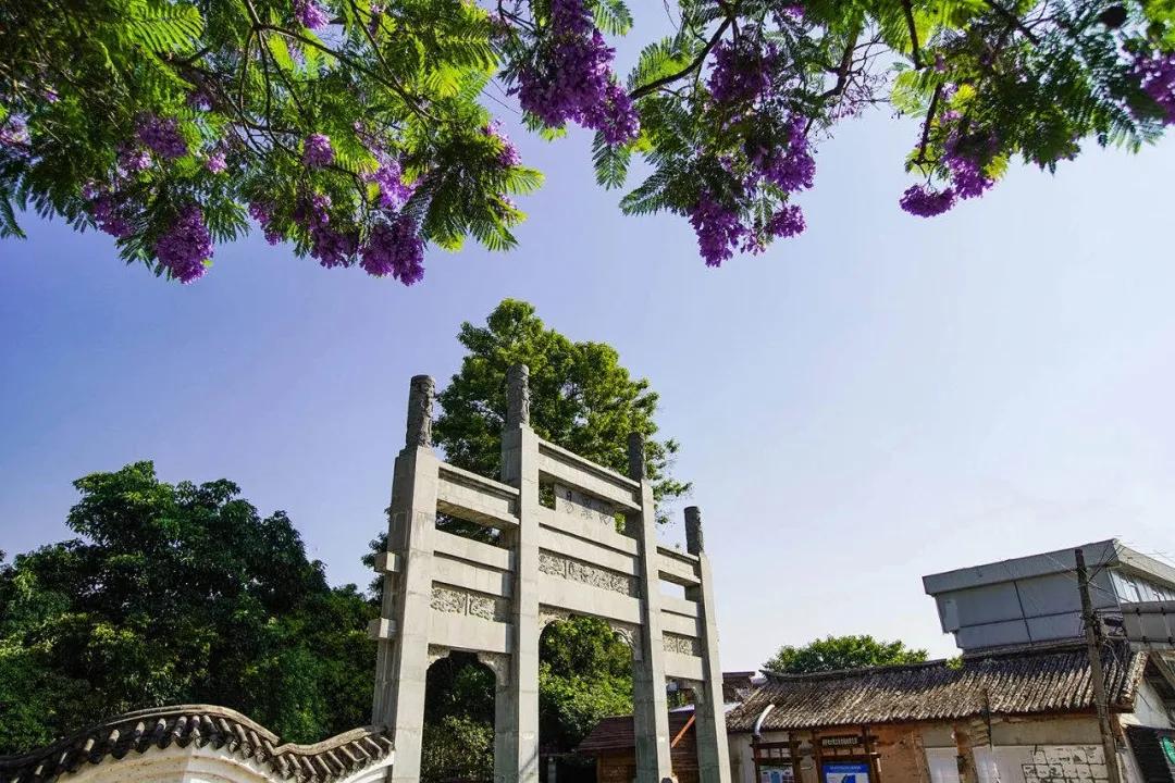 这是一个充满生机的公园怎么说,这是一个充满生机的国度朗诵