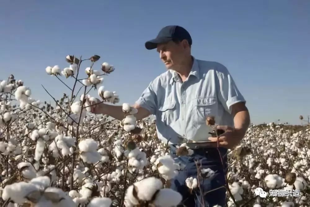 纯棉浴巾与全棉浴巾哪个好,浴巾超细纤维80%好还是90%的好