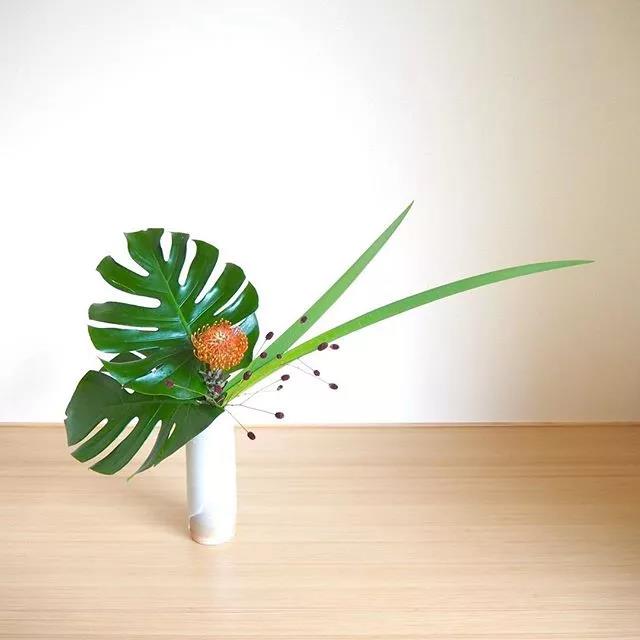 一花一世界一叶一菩提本来无一物,一花一世界一叶一菩提一场梦