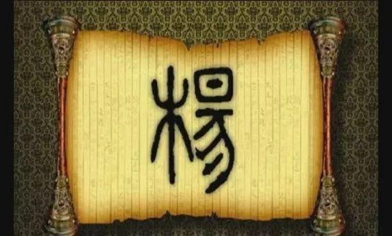 我姓杨怎么介绍,姓杨的个人简历