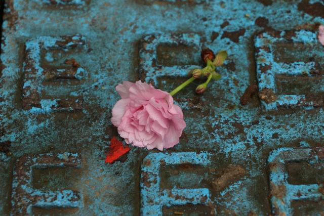 苹果手机的修图软件,如何使用手机修图软件泼辣修图