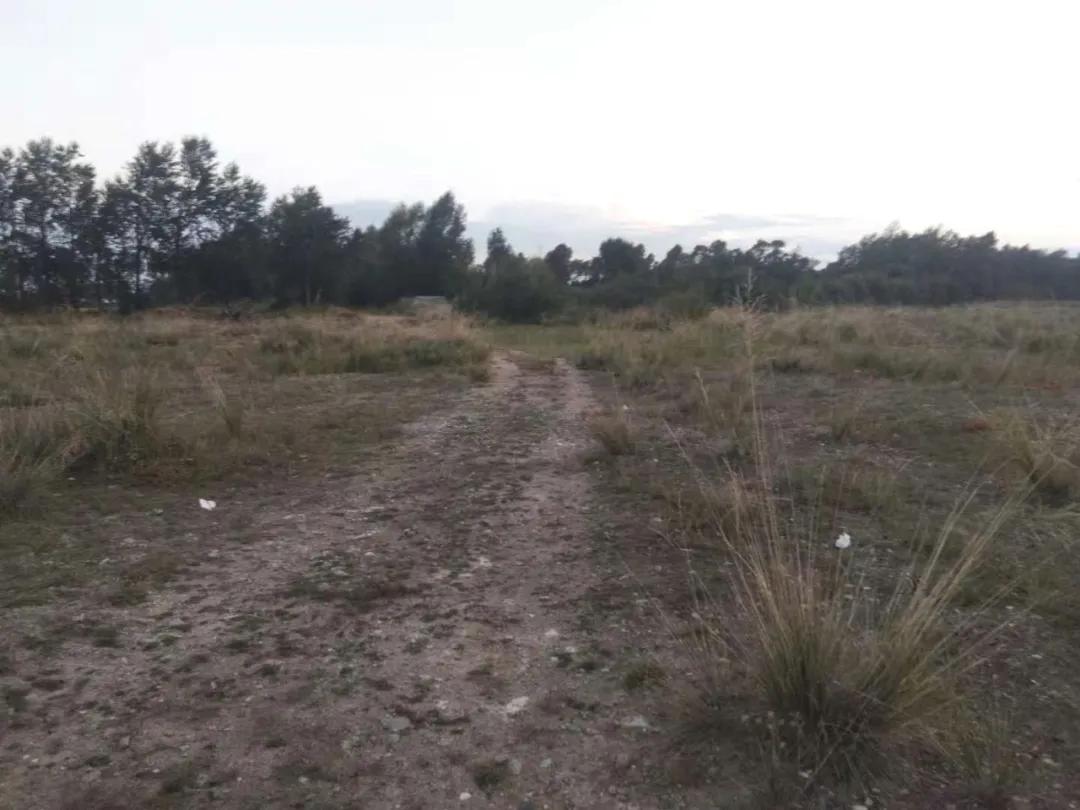 田园美丽村寨,打造美丽乡村幸福河