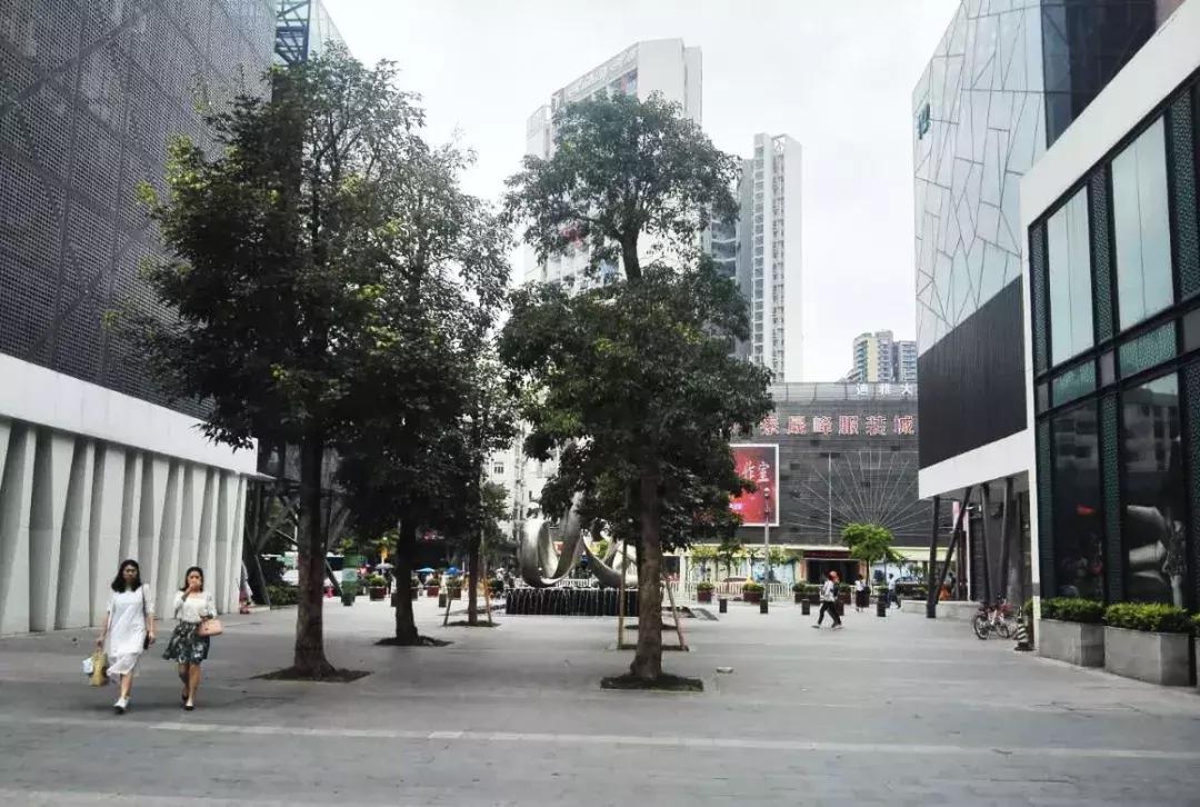 东滨路未来规划图,东滨路最新规划