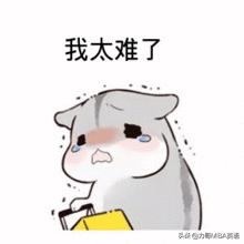 复习时间不够焦虑,复习时间不够放弃哪个科目