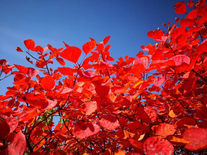 孩子不管什么情况都不能放弃,孩子无论多苦不要泯灭眼中的光
