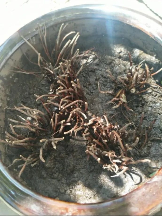 小时候的感觉我感同身受,小时候的我感同身受完整版