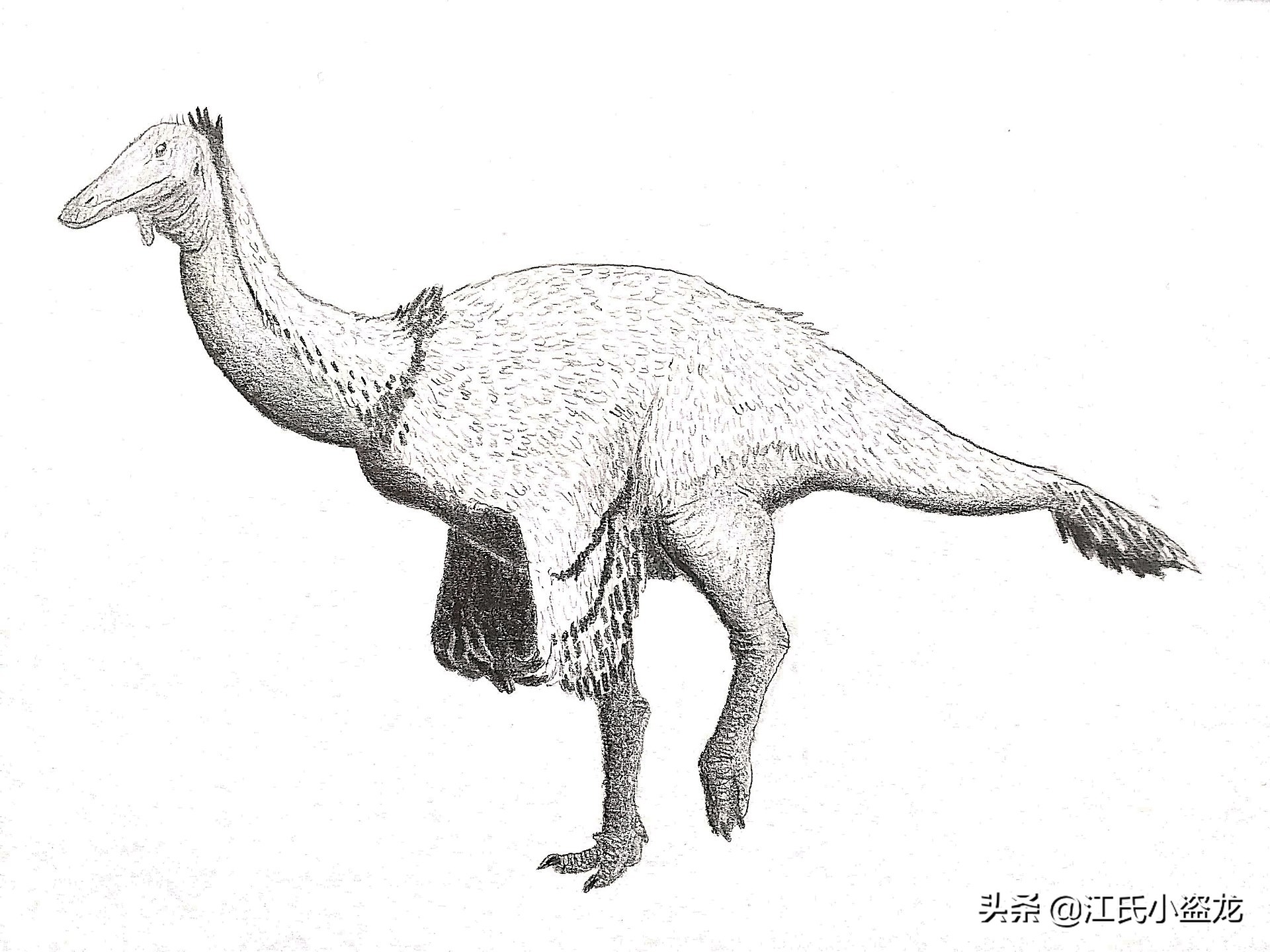 古生物生物学家,古生物科学家