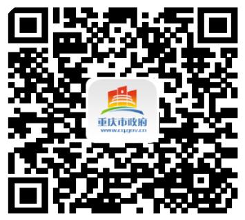 重庆市政府APP客户端“渝快办”今日成功上线，首批推出300+项老百姓最关心、最高频、最便捷的便民服务事项