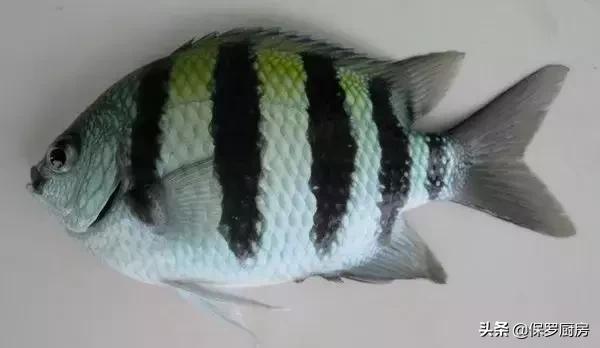 海鲜大荟萃,常见贝壳类海鲜