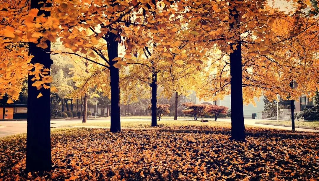 青年毛主席，榜首进一中！他曾就读的长沙市一中究竟有多牛？