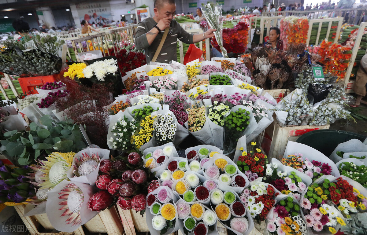 昆明市内游玩好去处 (云南昆明最值得玩的地方)