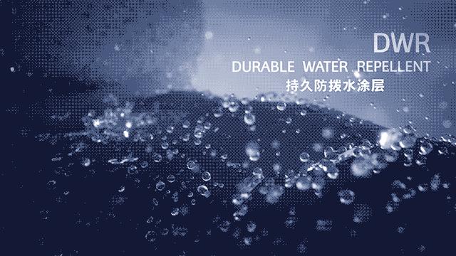 国外明星穿波司登,好莱坞明星穿的大牌