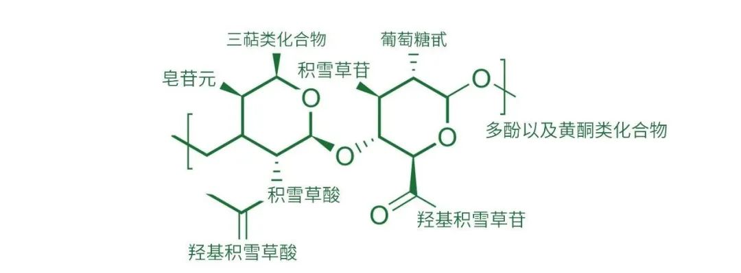 美容护肤界的万金油积雪草,积雪草在护肤界有万金油之称