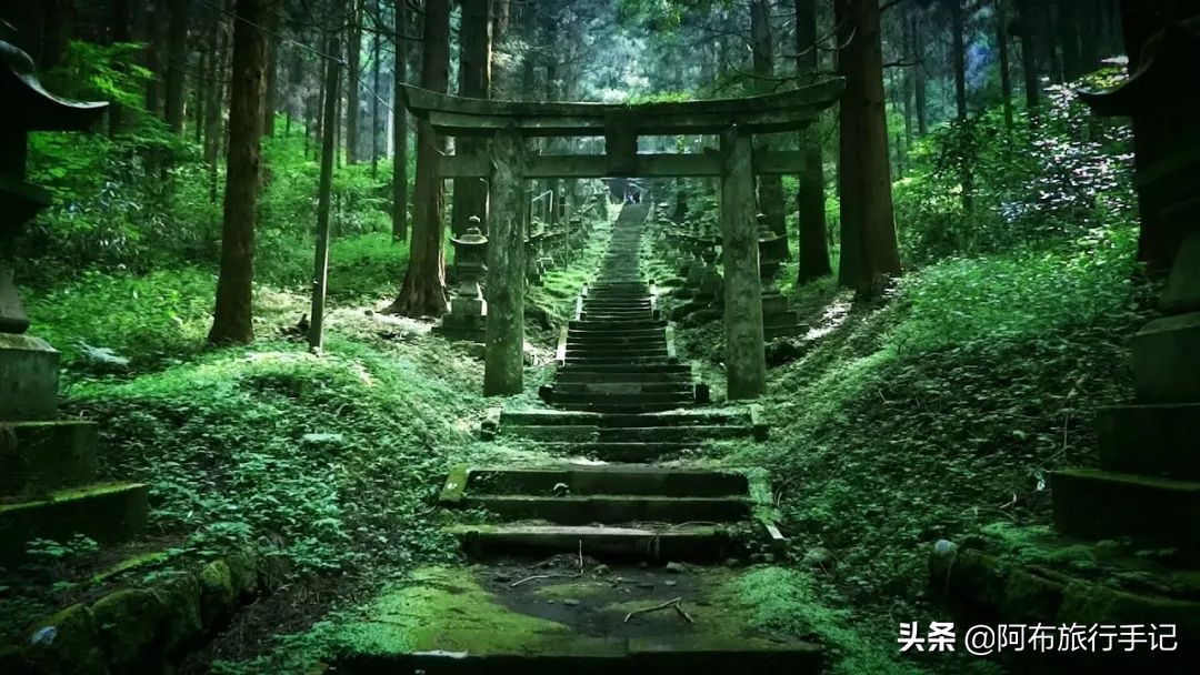 逛古寺逛神社感受日本京都的韵味,日本冷门的神社