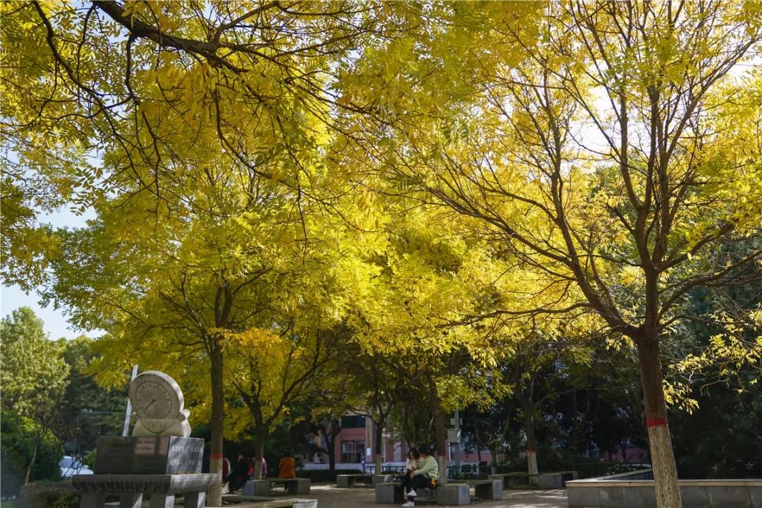 思源学院美景照片,西安思源学院秋景色