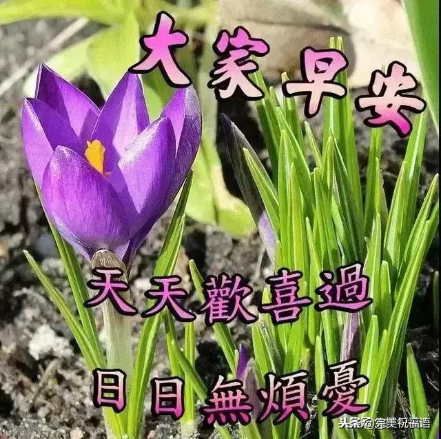 11月快乐我把祝福送给你高清图片,我把祝福送给你动态简谱