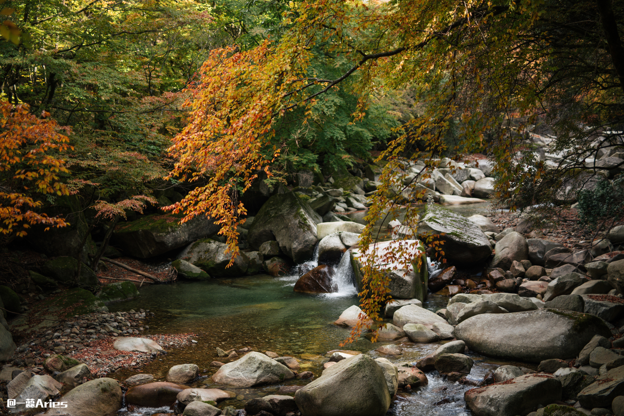 成都周边秋天美到极致的秋色,成都近郊游最美秋色