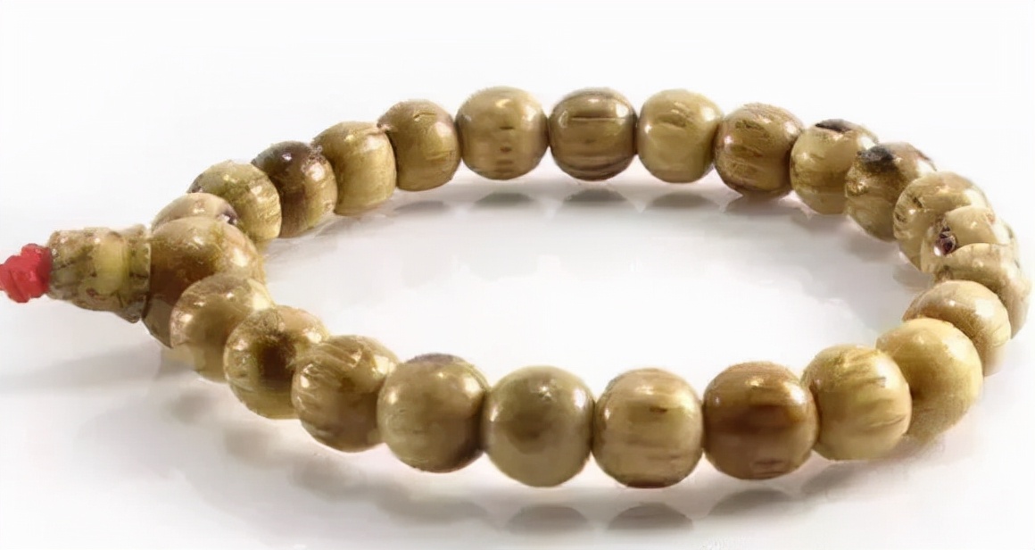 冷门菩提图片大全,比较少见的菩提