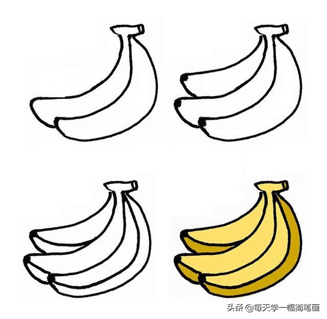 超简单水果简笔画初学者零基础,秋天成熟的水果有哪些简笔画