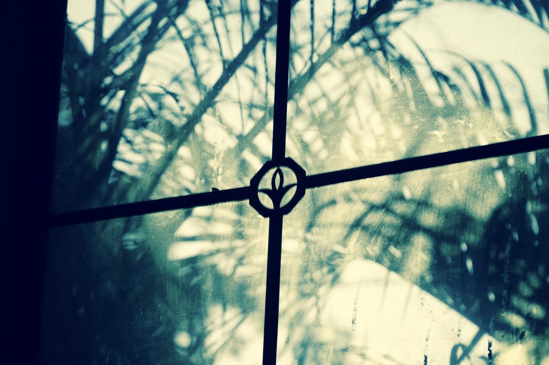 娉板浗鐢滆湝娴极,娉板浗鐢滆湝鐜板満