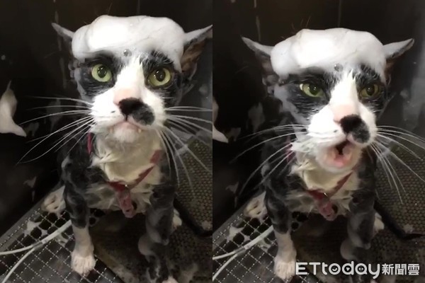 姣涙瘺搴楅暱,姣涙瘺搴楅暱瑙嗛