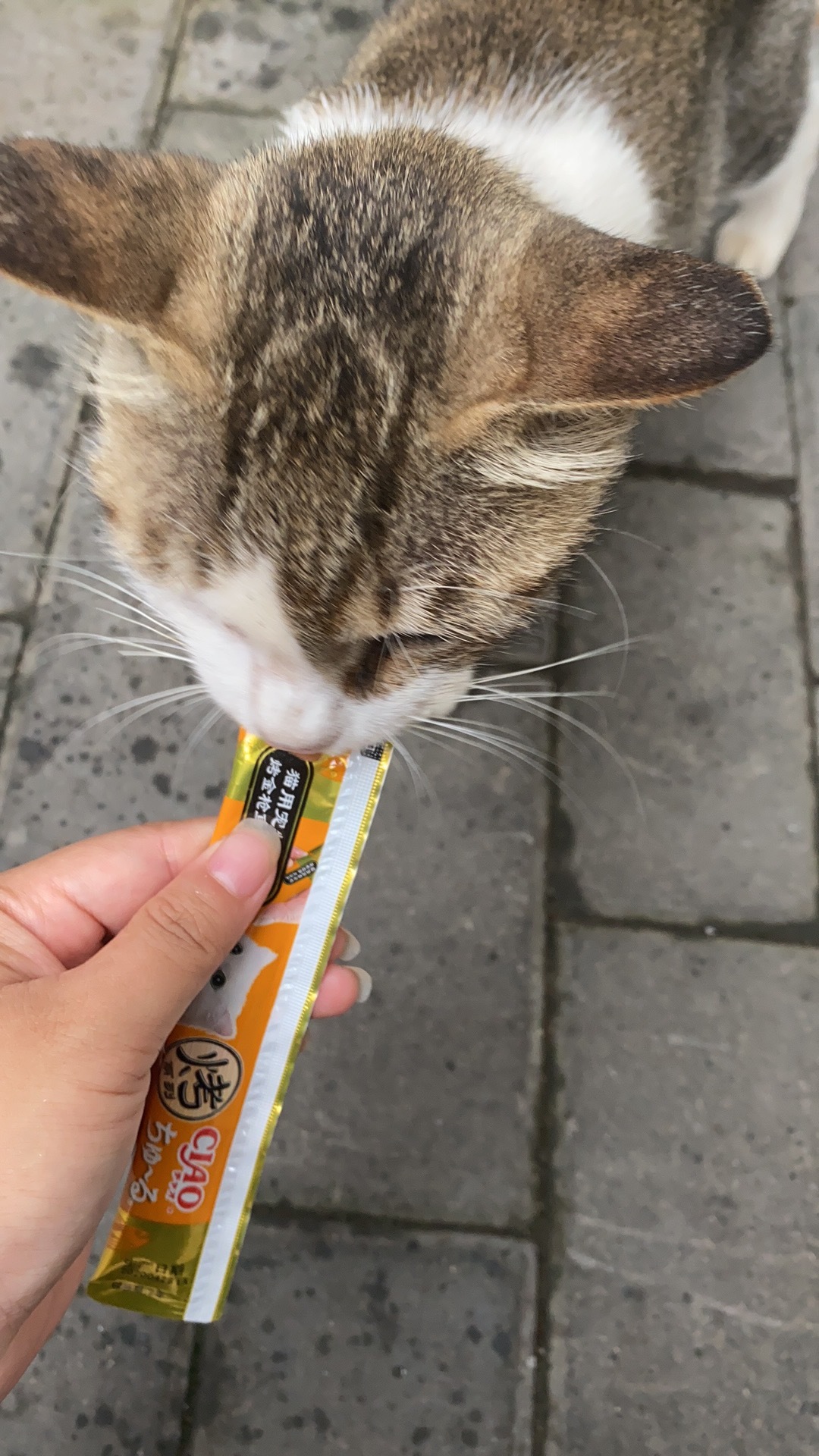 全职妈妈10万零花钱,全职妈妈5年零收入