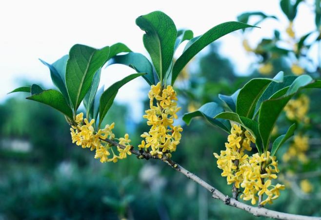 秋分的优美诗词发朋友圈,秋分优美诗词秋分祝福语