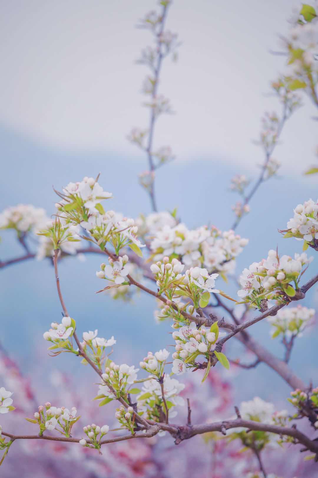 鞍山旅游攻略必玩的景点温泉,鞍山千山泡温泉攻略