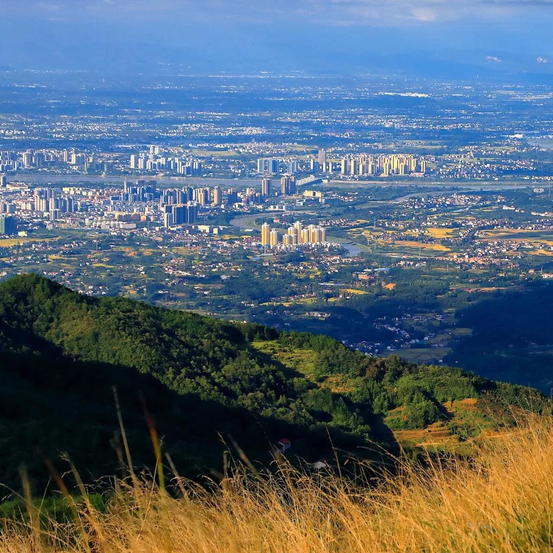 汉中谁的信鸽最好,绵阳和汉中谁的气候好