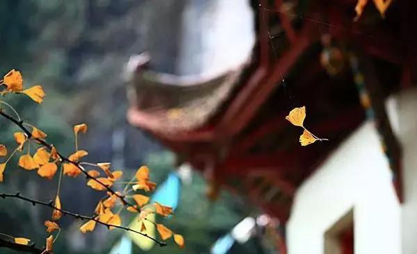 去庙里*拜参**到底能不能给佛像拍照？