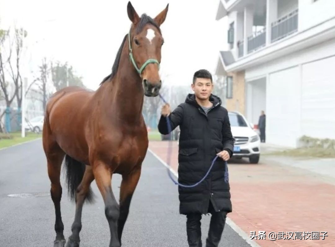 武汉低调神秘的高校,武汉低调的大学
