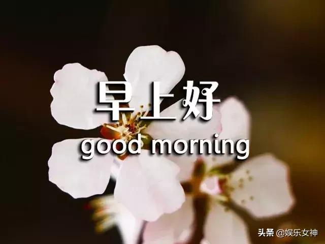 周三问候语简单幽默,早上短信问候语温馨正能量