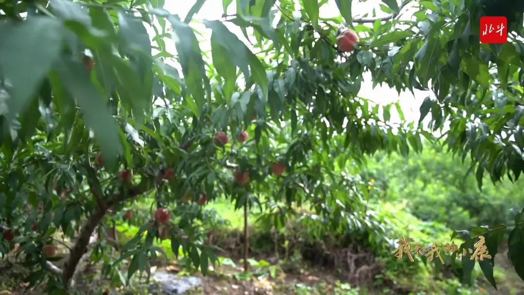 丹东自然美景,丹东大自然