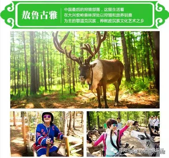 冬天呼伦贝尔大草原自驾游攻略,呼伦贝尔大草原深度游