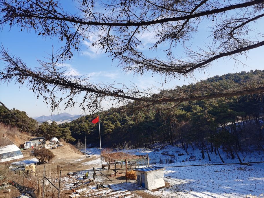 城市有城市的繁华乡村有乡村的美,城市有它的繁华农村有它的清静