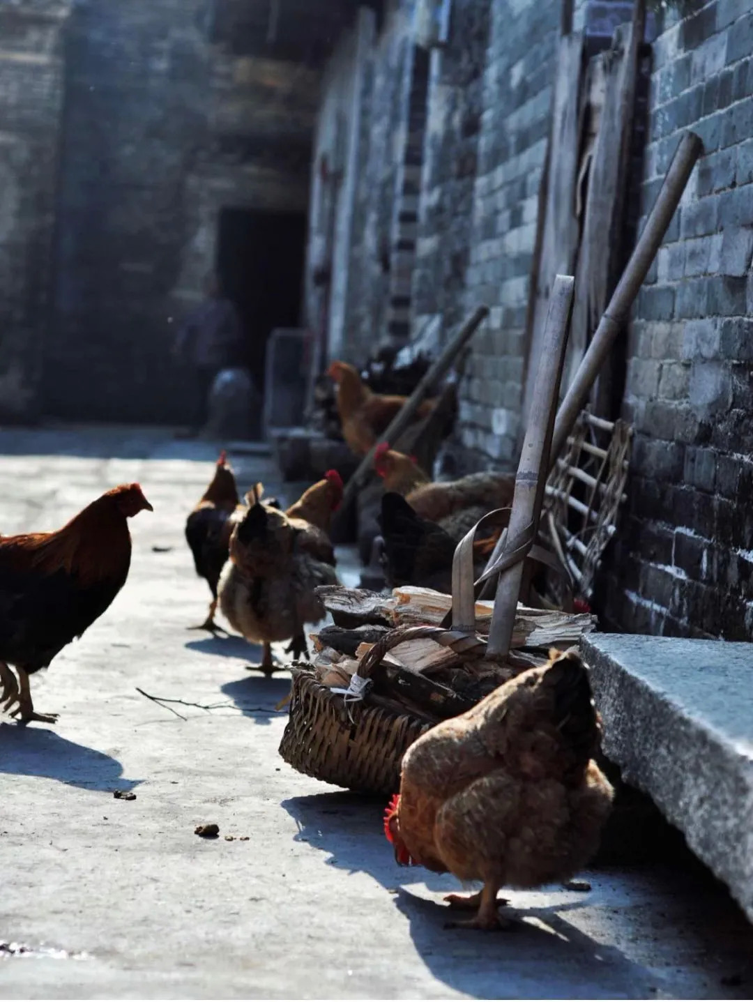 广东最没存在感城市,广东最具有粤味的城市