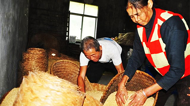 米面怎么保存不容易生虫子,米面生小虫怎么办