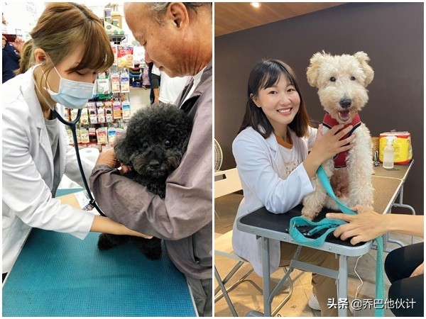 狗狗趾间炎肿得特别厉害怎么办,狗一直舔脚发炎了怎么办