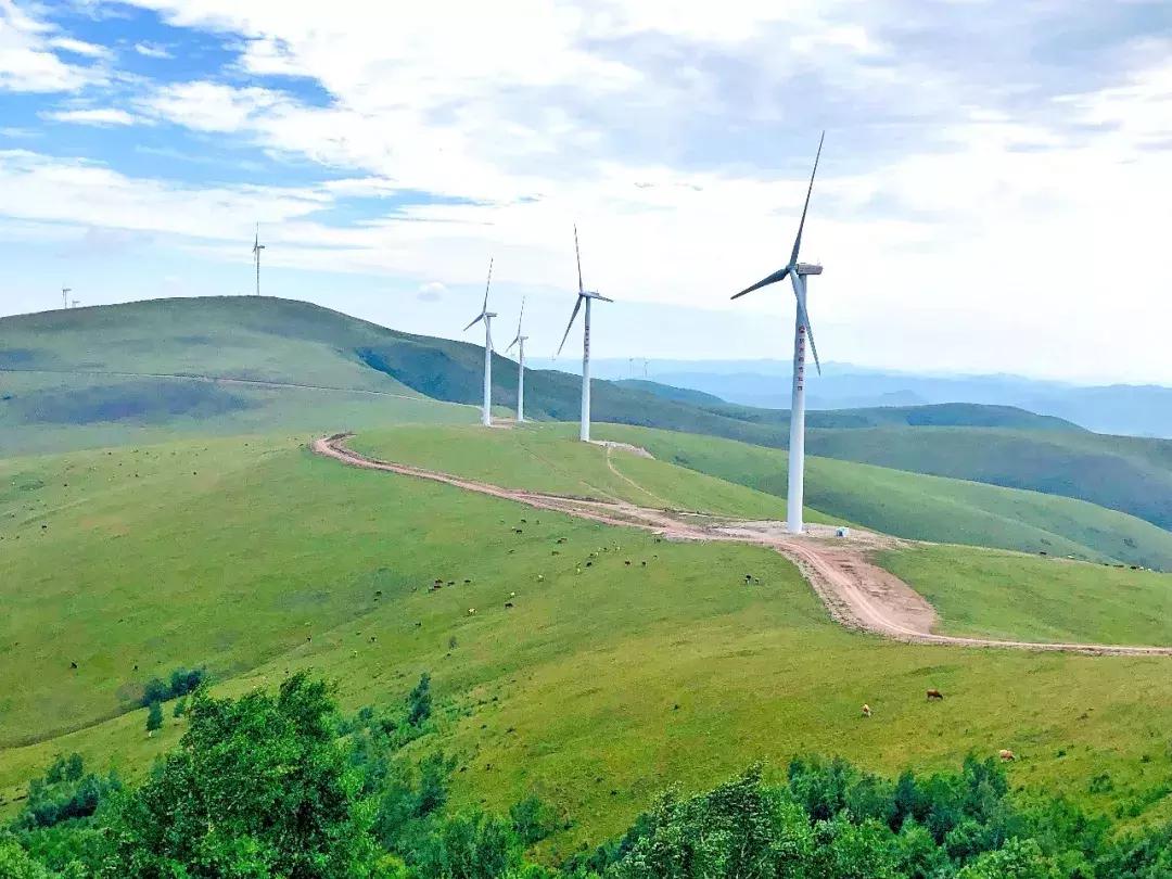 丰宁千松坝秋色,天凉好个秋拍摄