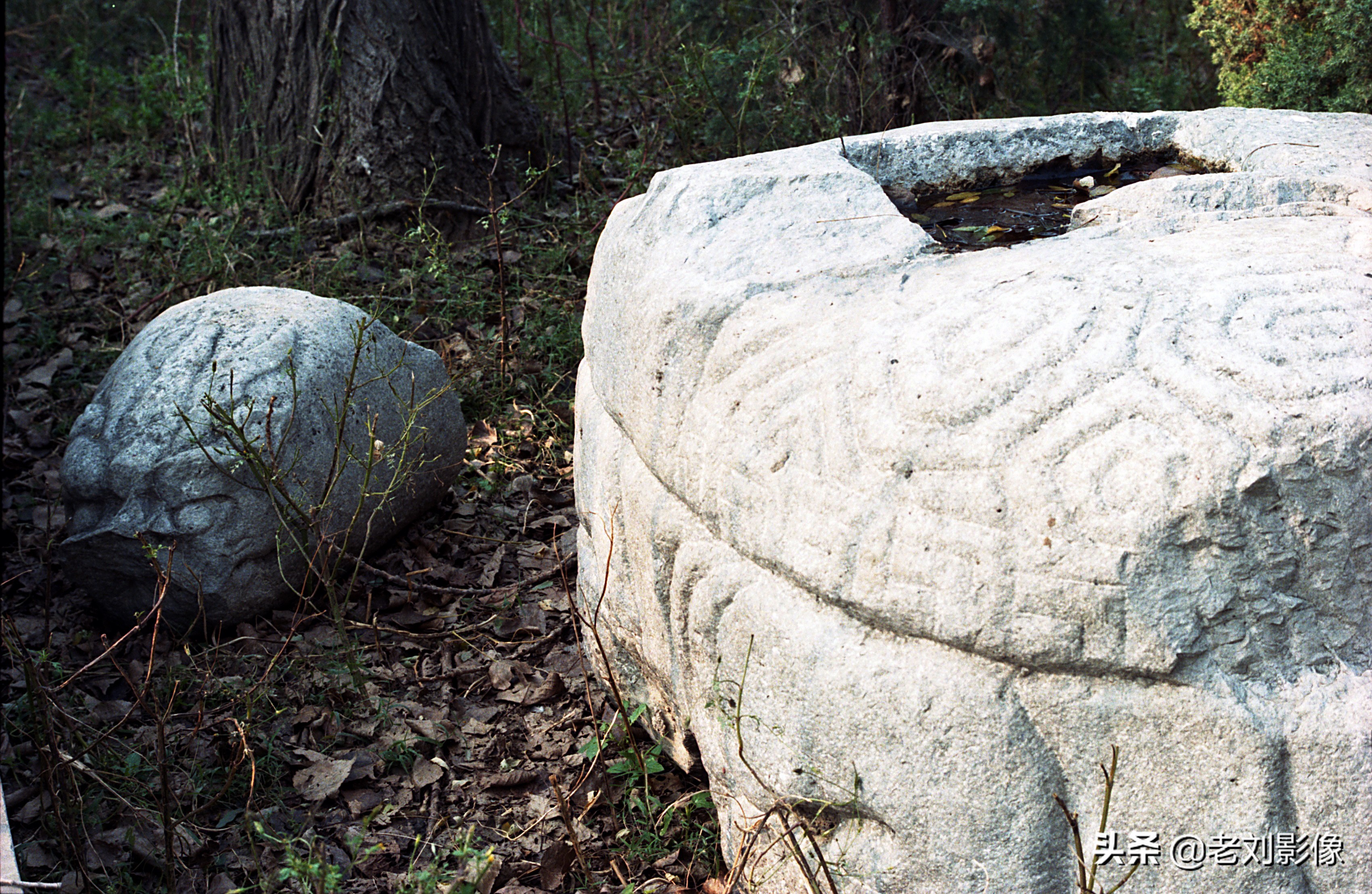 保定一亩泉泉眼在哪里,保定一亩泉消失的秘密