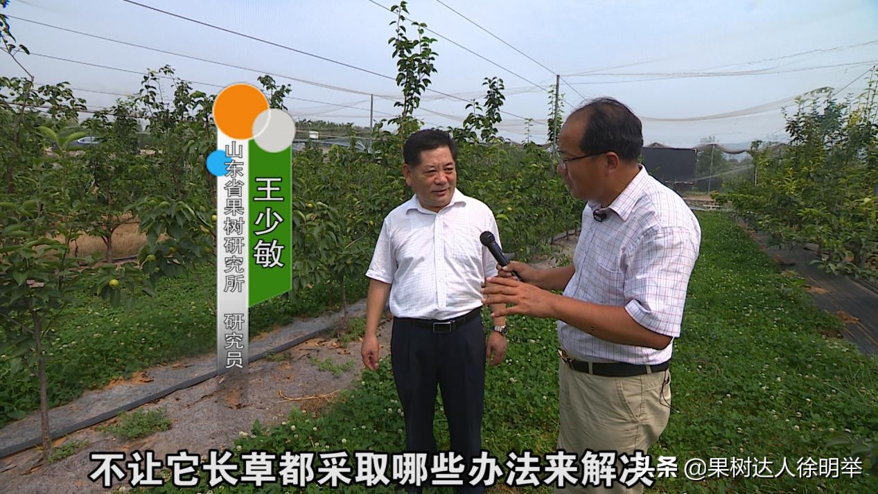 老徐谈农业好视频,老徐带你逛果园